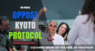 Brazil's Stance on the Kyoto Protocol: Opposition or Support?