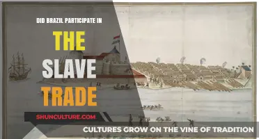 Brazil's Role in the Transatlantic Slave Trade: A Historical Overview
