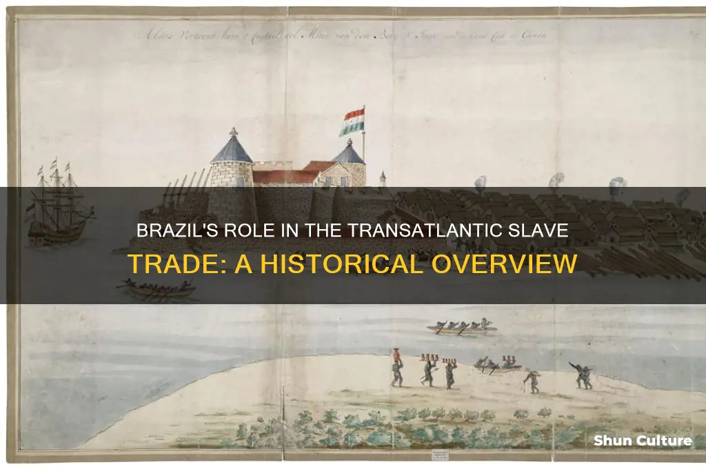 did brazil participate in the slave trade