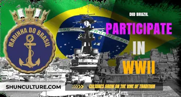 Brazil's WWII Role: A Surprising Ally in the Global Conflict