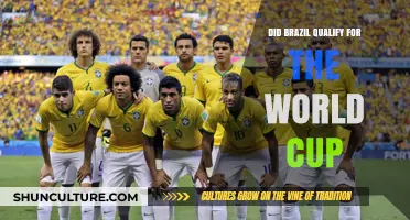 Brazil's World Cup Qualification Journey: Success or Setback?