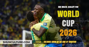 Brazil's Road to World Cup 2026: Qualification Status and Updates