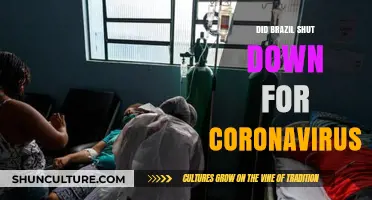 Brazil's COVID-19 Lockdown: Did the Country Shut Down Completely?