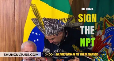 Brazil and the NPT: Did They Sign the Nuclear Treaty?
