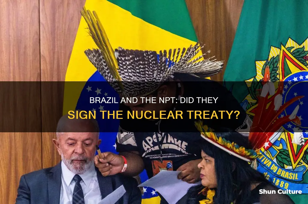 did brazil sign the npt