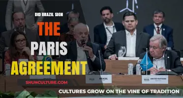 Brazil's Commitment: Did They Sign the Paris Agreement?