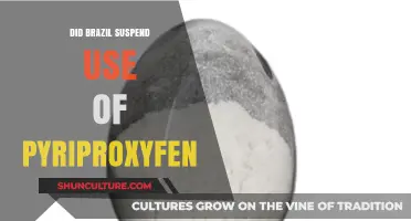 Brazil Suspends Pyriproxyfen: Unraveling the Decision and Its Implications