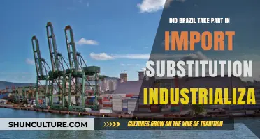 Brazil's Role in Import Substitution Industrialization: A Historical Overview