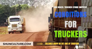 Brazil Trucker Strike: Did It Bring Better Conditions for Drivers?
