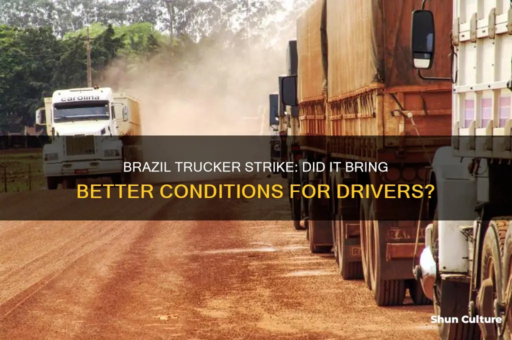 did brazil trucker strike improve conditions for truckers