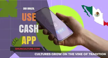 Did Brazil Use Cash App? Exploring Payment Trends in Brazil