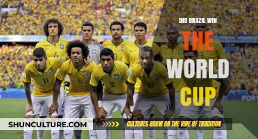 Brazil's World Cup Triumph: A Historic Victory or Near Miss?