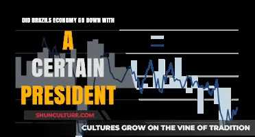 Brazil's Economic Decline: The Impact of a President's Leadership