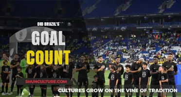 Brazil's Controversial Goal: Did It Cross the Line?