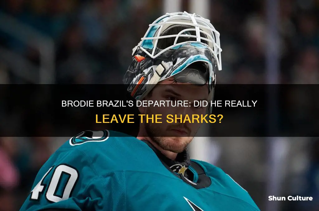 did brodie brazil leave the sharks
