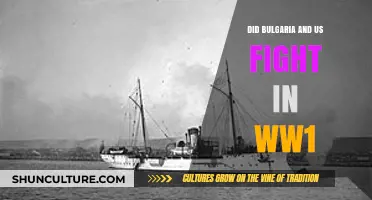 Did Bulgaria and the US Fight in WWI?
