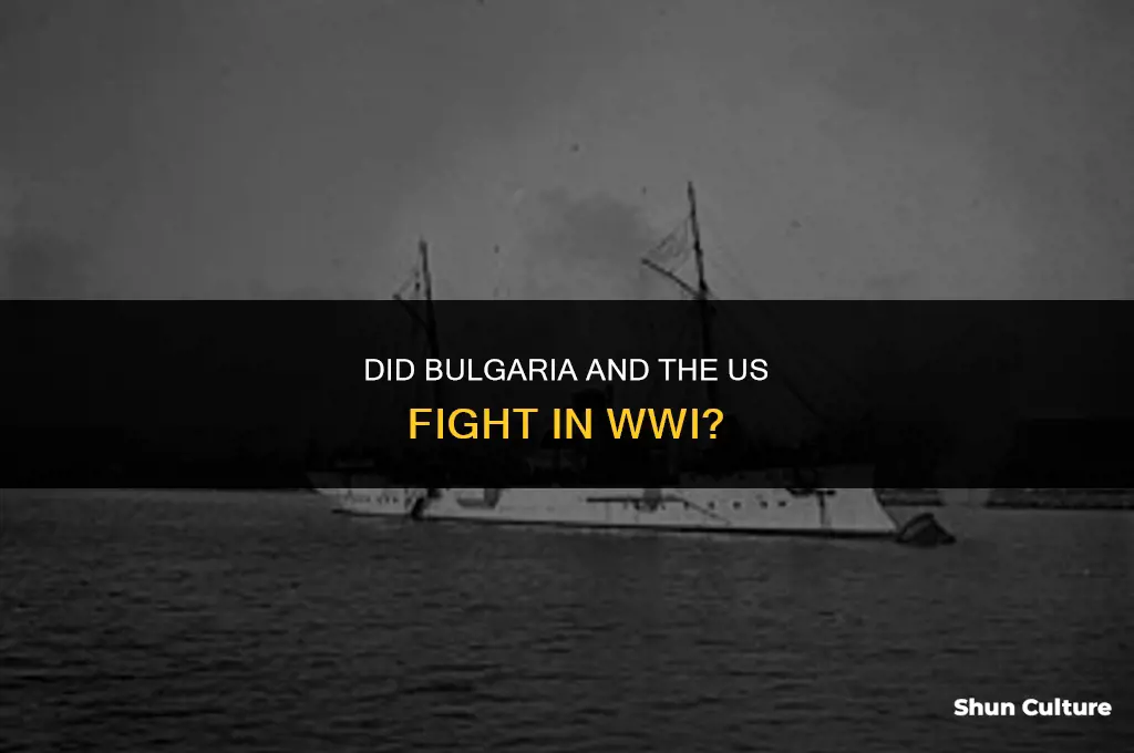 did bulgaria and us fight in ww1