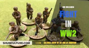 Bulgaria's Role in World War II: A Complex History Unveiled