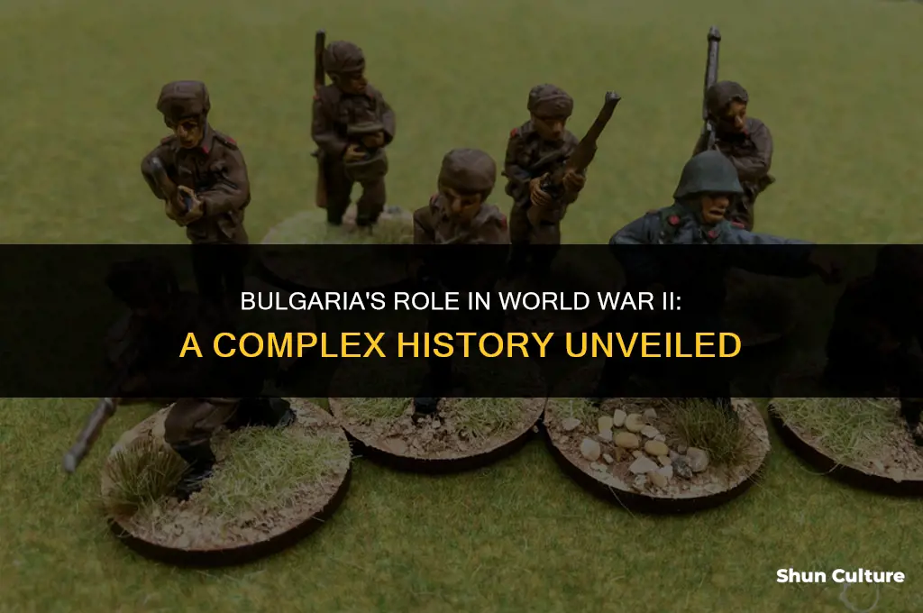 did bulgaria fight in ww2