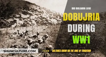 Bulgaria's Defeat: The Loss of Dobruja in World War I