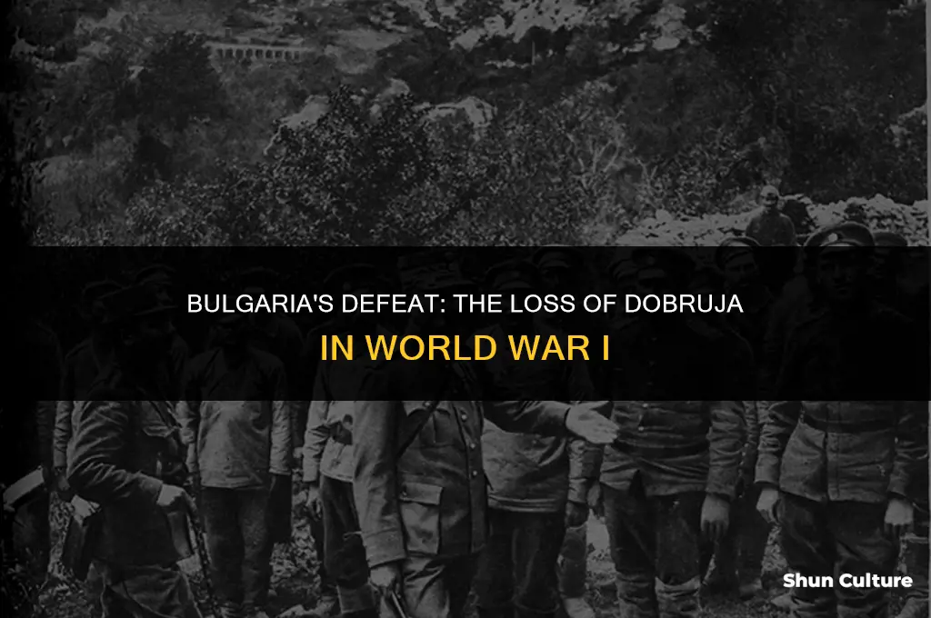 did bulgaria lose dobujria during ww1