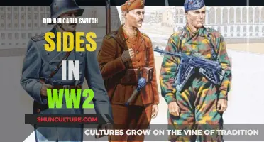 Bulgaria's WWII Allegiance Shift: A Complex History Unveiled