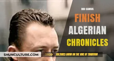 Camus' Algerian Chronicles: Unfinished Legacy or Complete Narrative?