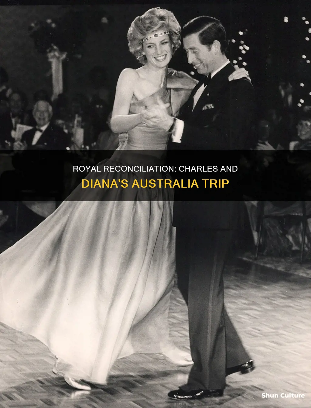 did charles and diana make up in australia