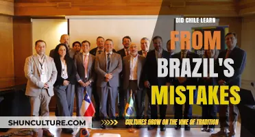 Chile's Economic Strategy: Learning from Brazil's Past Missteps?
