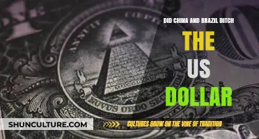 China and Brazil's Dollar Ditch: A New Global Currency Shift?