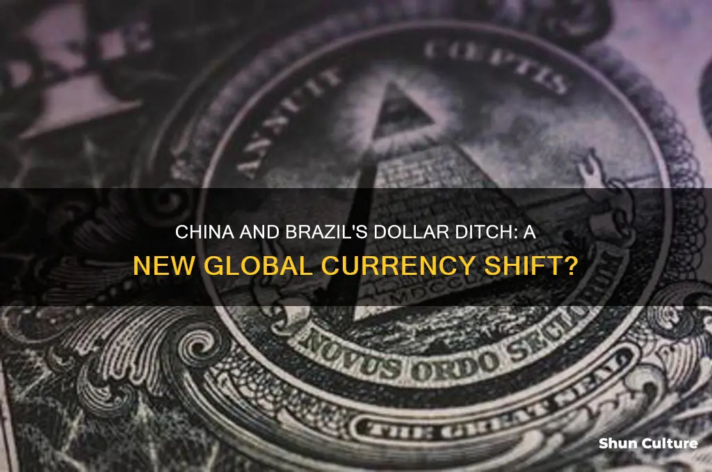 did china and brazil ditch the us dollar