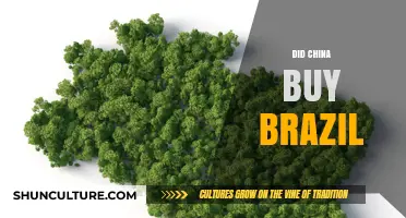 China's Growing Influence: Did Beijing Buy Brazil's Economy?