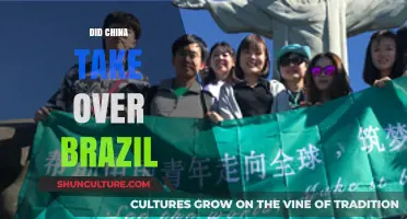 China's Growing Influence in Brazil: Economic Partnership or Takeover?
