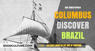 Did Christopher Columbus Discover Brazil? Unraveling the Historical Mystery