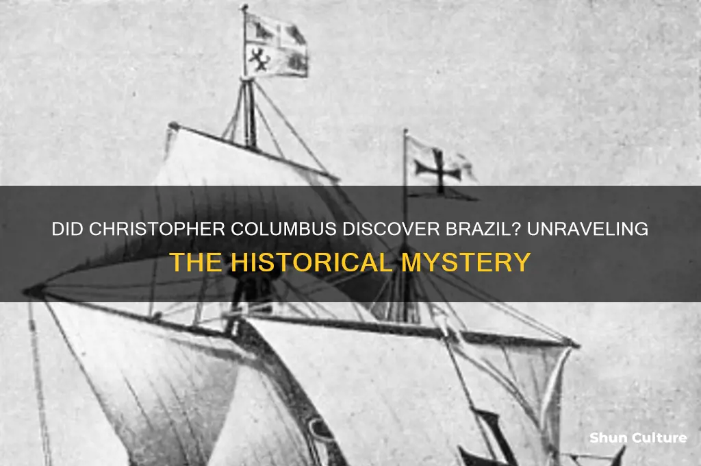 did christopher columbus discover brazil