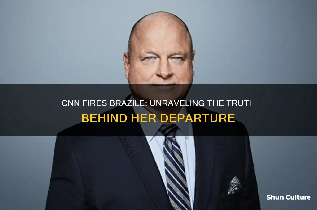 did cnn fire brazile