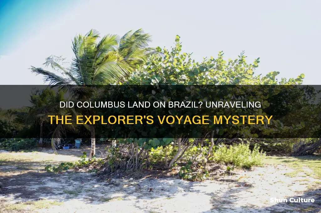 did columbus land on brazil