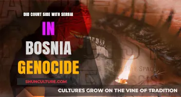 Bosnia Genocide Case: Did the Court Favor Serbia's Stance?