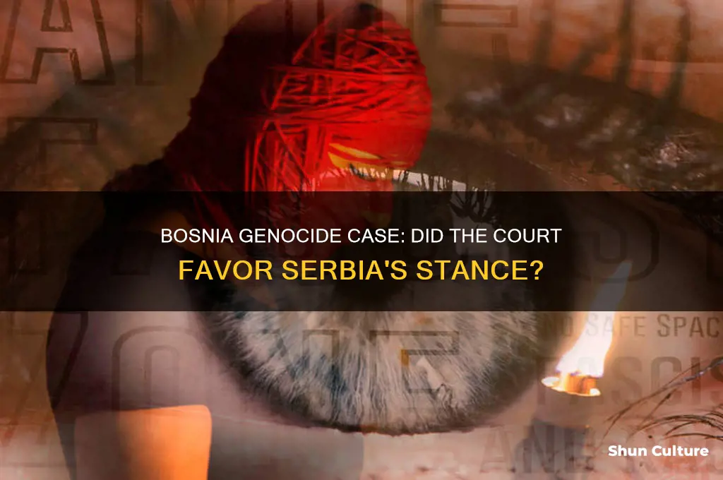 did court side with serbia in bosnia genocide