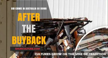 Australia's Gun Buyback: Did Crime Rates Decline Post-Implementation?