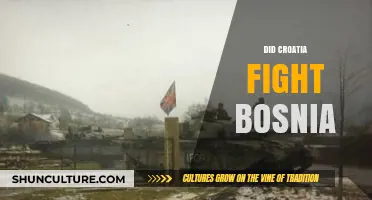 Croatia and Bosnia: Unraveling the Complex History of Their Conflict
