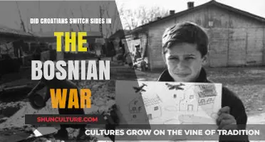 Croatia's Alleged Shift: Unraveling Loyalties in the Bosnian War