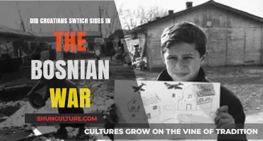 Croatia's Alleged Shift: Unraveling Loyalties in the Bosnian War