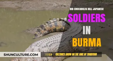 Did Crocodiles Kill Japanese Soldiers in Burma?