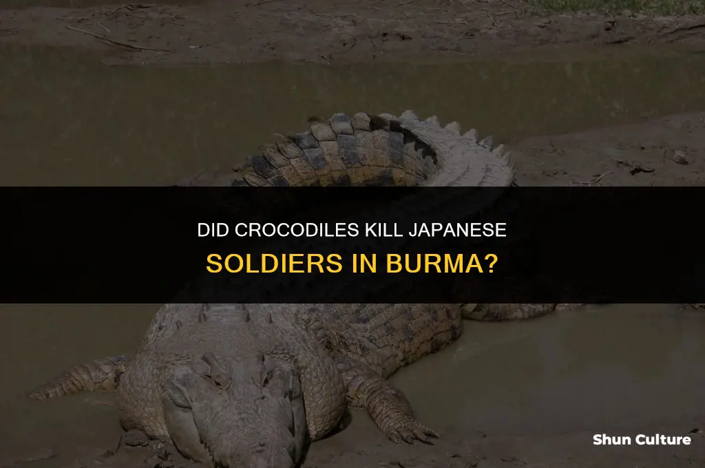 did crocodiles kill japanese soldiers in burma
