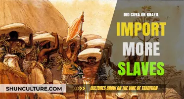 Comparing Cuba and Brazil: Which Nation Imported More Slaves?