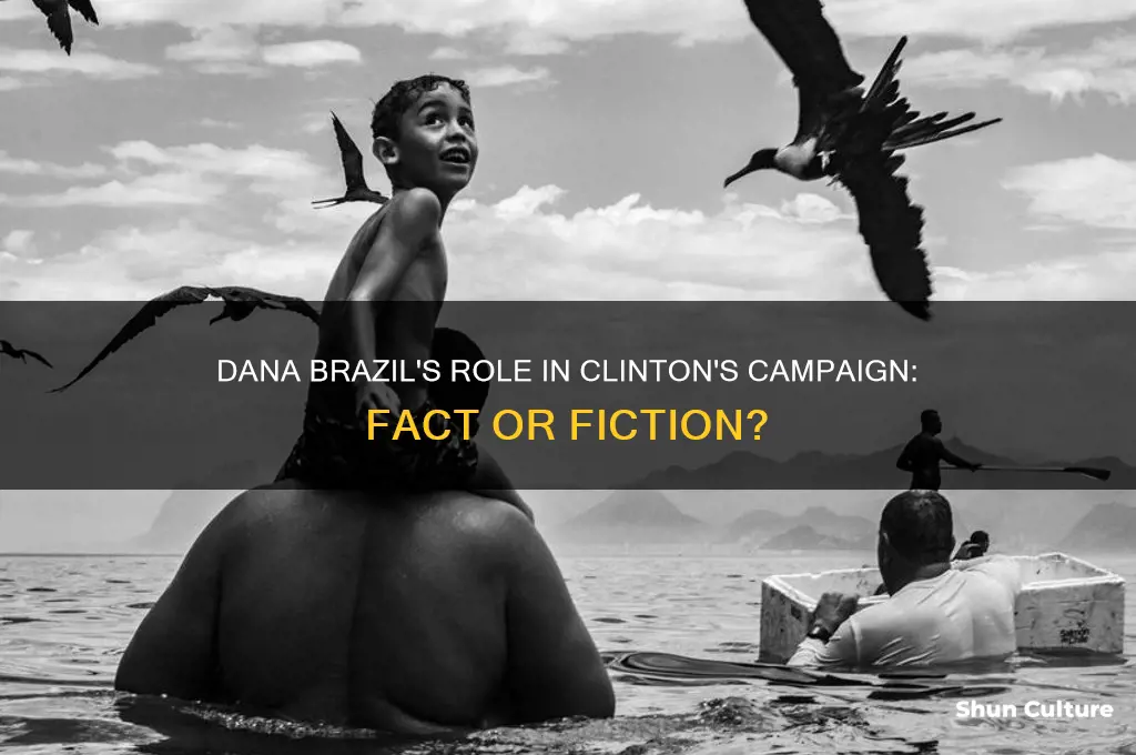did dana brazil help clinton