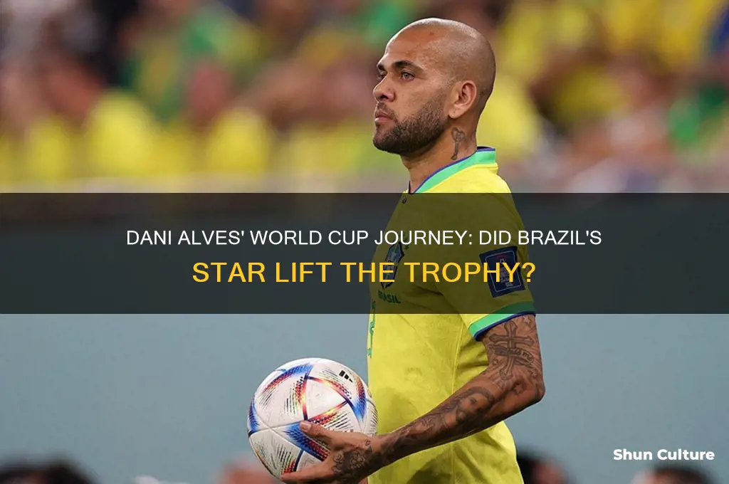 did dani alves won world cup with brazil