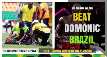 Deontay Wilder vs. Domonic Brazil: Did Wilder Secure the Victory?