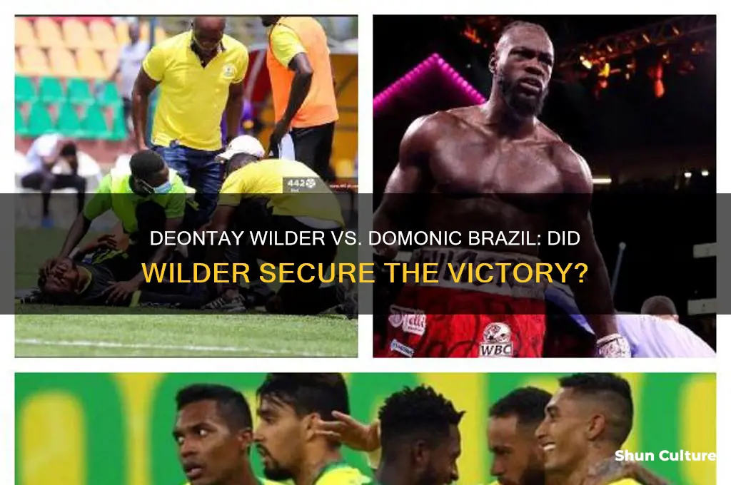did deontae wilder beat domonic brazil